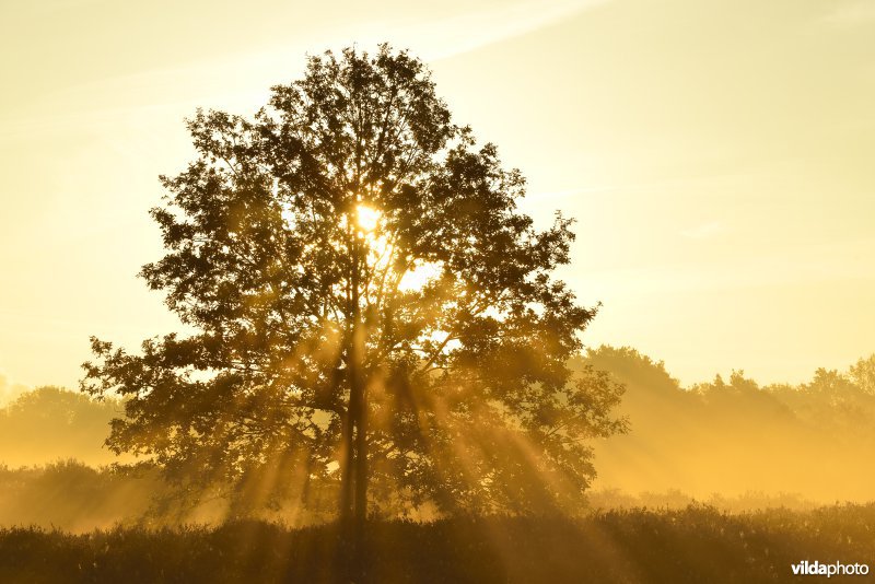 Natuurreservaat De Maten