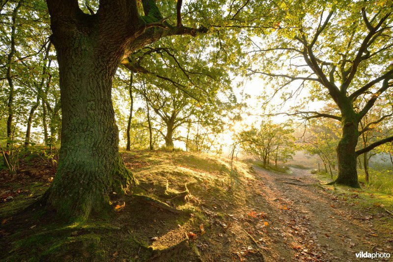 Natuurreservaat De Maten