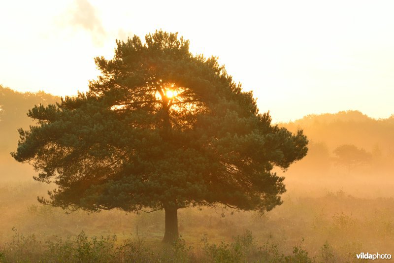 Natuurreservaat De Maten