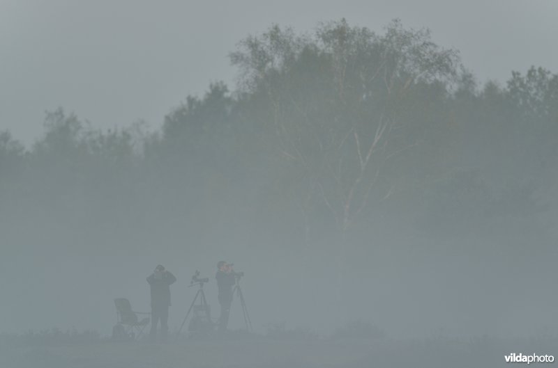 Natuurreservaat De Maten