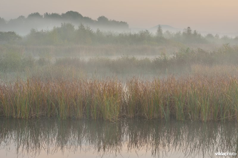 Natuurreservaat De Maten