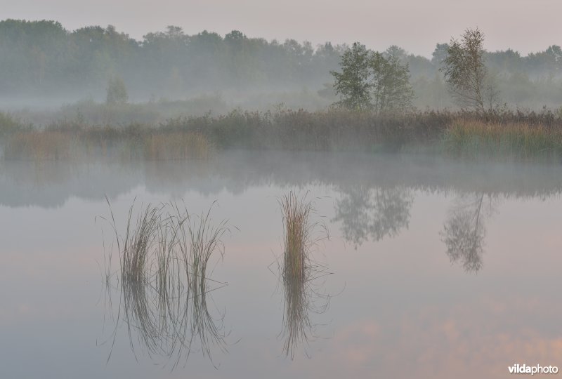 Natuurreservaat De Maten