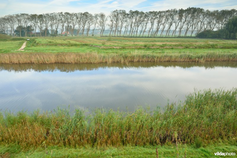 Stadswallen van Damme