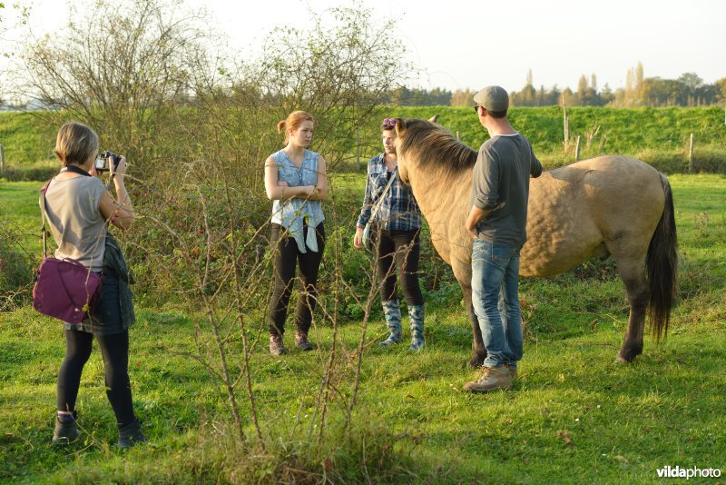 Wandelaars in de Hobokense polder