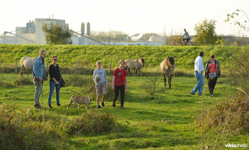 Wandelaars in de Hobokense polder