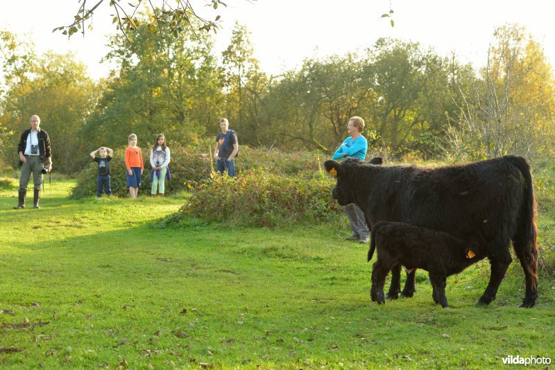 Wandelaars in de Hobokense polder