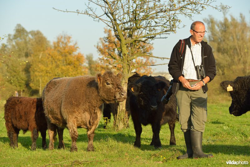 Wandelen in de Hobokense polders 