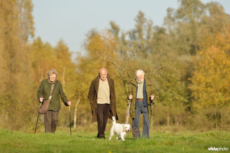 Wandelen in de Hobokense polders 