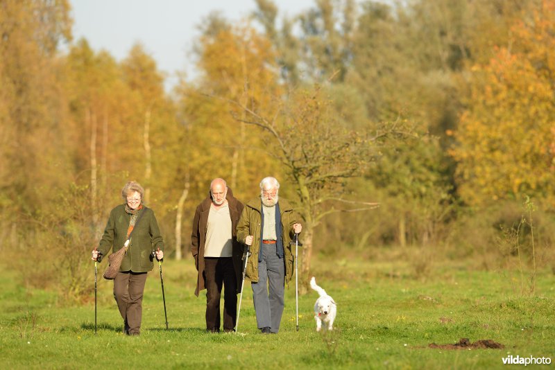 Wandelen in de Hobokense polders 