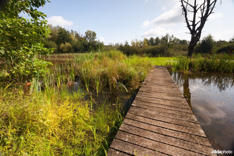 Plankenpad aan het picknickeiland