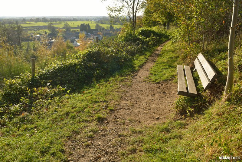 Altenbroek