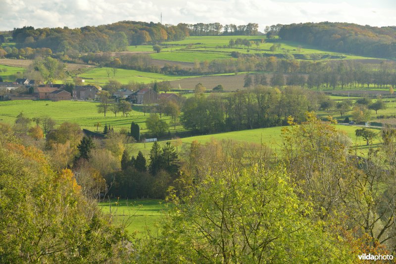 Altenbroek